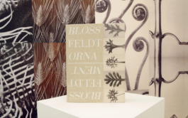 Anna Slobodnik Kunst und Buch Book Art 