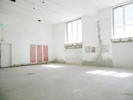 A big room with two large windows on the left side, three wallpaper panels with pink patterns. Anna Slobodnik 2015. 