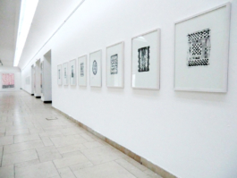 Eight framed lithographs of carpet pattern in black. Anna Slobodnik, 2017. 