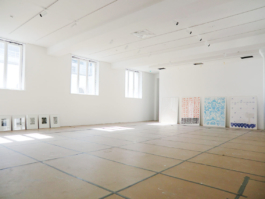 In the left framed black lithographs, to the right four big framed paintings in blue red and white. Anna Slobodnik 2016. 