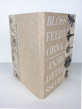 The book Blossfeldt and the Ornament from behind.