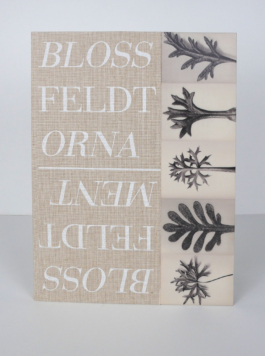 The book Blossfeldt and the Ornament from the front.