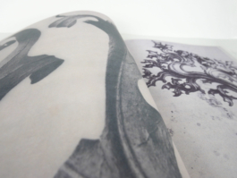 Close up of two pages of Blossfeldt and the Ornament.