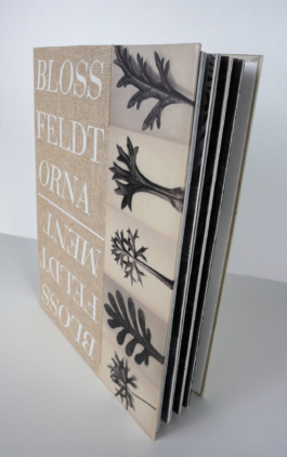 The book Blossfeldt and the ornament standing.