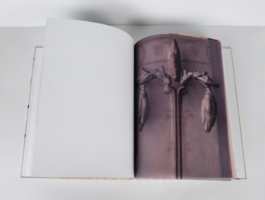 An open book with a plant on the right.