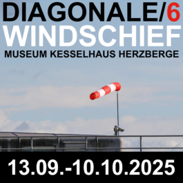 Graphic for the exhibition diagonale/6 - windschief