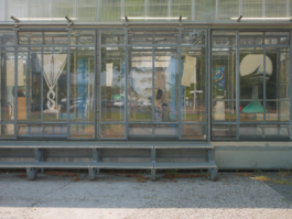 View from the outside on two paintings of two glasses hanging inside an exhibition room made out of glass. 