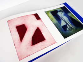 A close up of a page with two color-etchings.