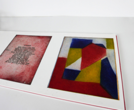 A close up of a page with two color-etchings.