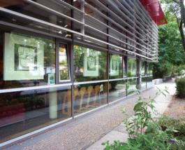 View of the street with Anna Slobodnik paintings hanging in the windows. 