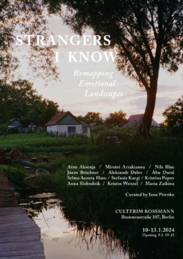 Poster for the exhibition strangers I know with a landscape and the exhibition details on it.